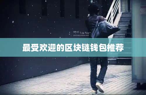 最受欢迎的区块链钱包推荐