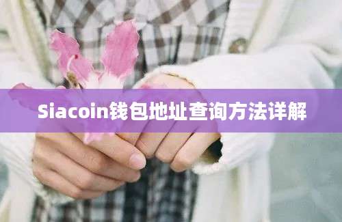 Siacoin钱包地址查询方法详解