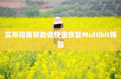 实用指南帮助你快速恢复Multibit钱包