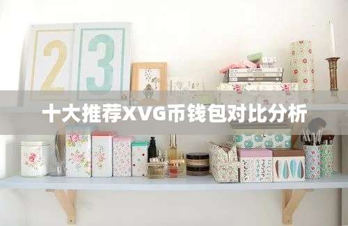 十大推荐XVG币钱包对比分析