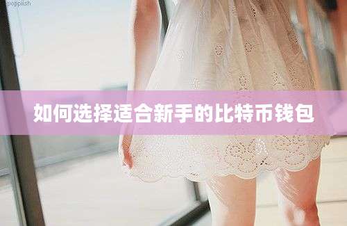 如何选择适合新手的比特币钱包