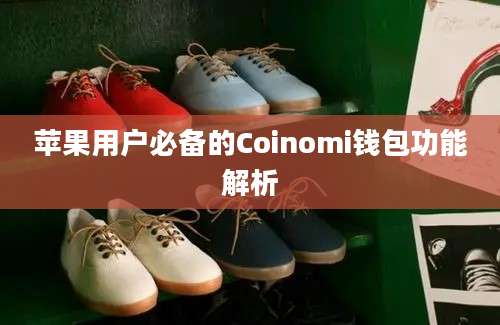 苹果用户必备的Coinomi钱包功能解析