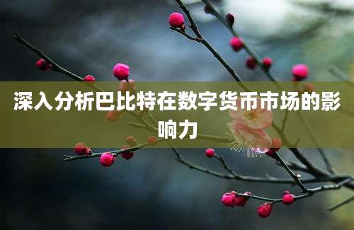 深入分析巴比特在数字货币市场的影响力