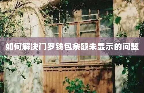 如何解决门罗钱包余额未显示的问题
