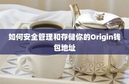 如何安全管理和存储你的Origin钱包地址