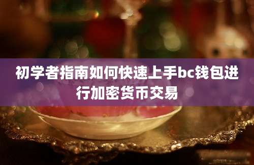 初学者指南如何快速上手bc钱包进行加密货币交易