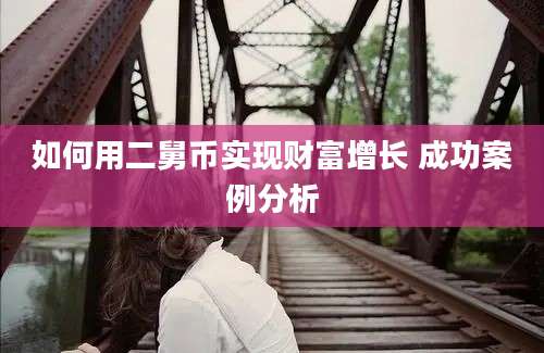 如何用二舅币实现财富增长 成功案例分析