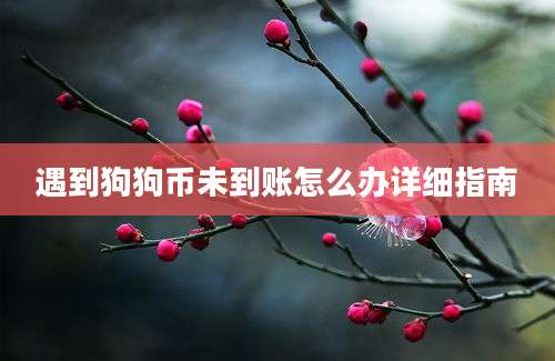 遇到狗狗币未到账怎么办详细指南