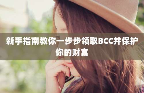 新手指南教你一步步领取BCC并保护你的财富