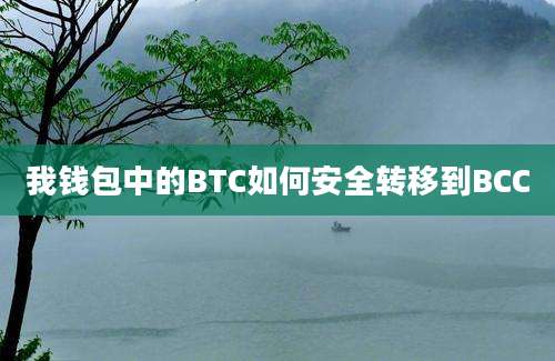 我钱包中的BTC如何安全转移到BCC