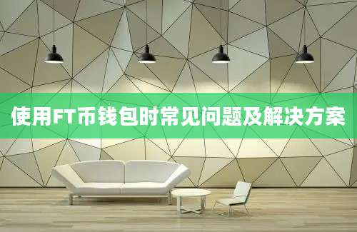使用FT币钱包时常见问题及解决方案