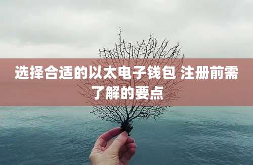 选择合适的以太电子钱包 注册前需了解的要点