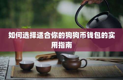 如何选择适合你的狗狗币钱包的实用指南