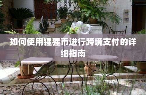 如何使用猩猩币进行跨境支付的详细指南