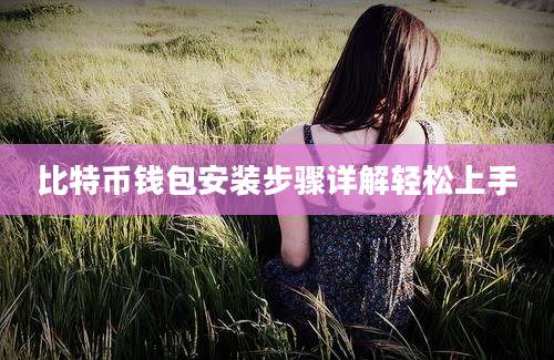 比特币钱包安装步骤详解轻松上手