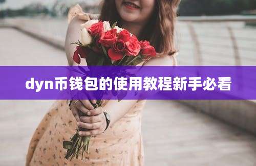 dyn币钱包的使用教程新手必看