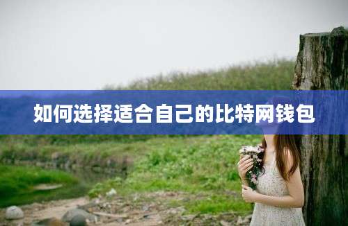 如何选择适合自己的比特网钱包