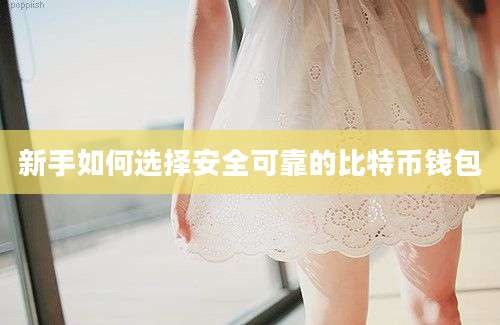 新手如何选择安全可靠的比特币钱包