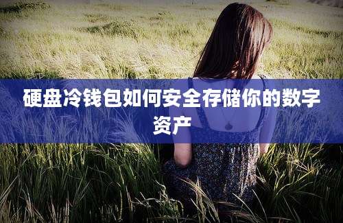 硬盘冷钱包如何安全存储你的数字资产