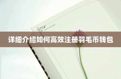 详细介绍如何高效注册羽毛币钱包