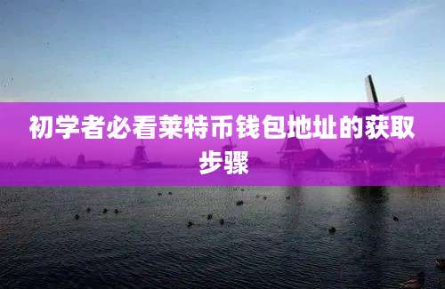 初学者必看莱特币钱包地址的获取步骤