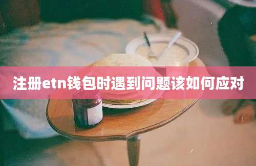 注册etn钱包时遇到问题该如何应对